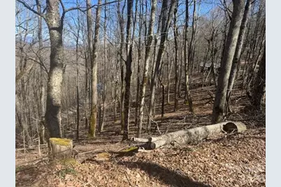 11 Zebulon Lane, Mars Hill, NC 28754 - Photo 6