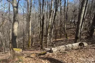 11 Zebulon Ln, Mars Hill, NC 28754 - Photo 6