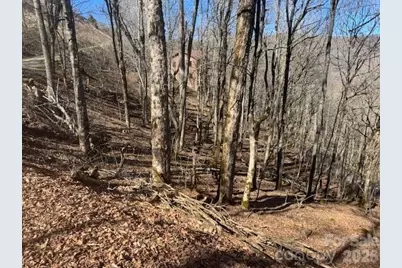 11 Zebulon Lane, Mars Hill, NC 28754 - Photo 2