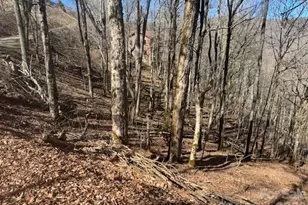 11 Zebulon Ln, Mars Hill, NC 28754 - Photo 2