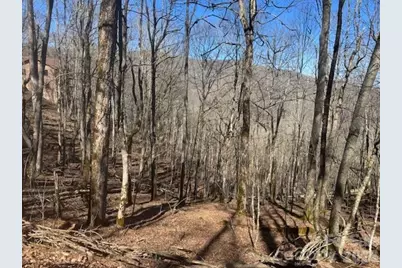 11 Zebulon Lane, Mars Hill, NC 28754 - Photo 4