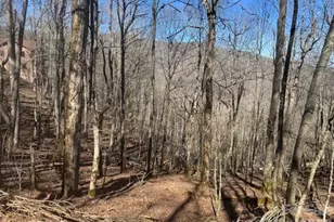 11 Zebulon Ln, Mars Hill, NC 28754 - Photo 4