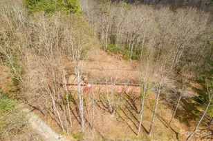118 Richard Ln, Black Mountain, NC 28711 - Photo 6