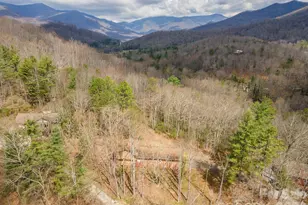 118 Richard Ln, Black Mountain, NC 28711 - Photo 4