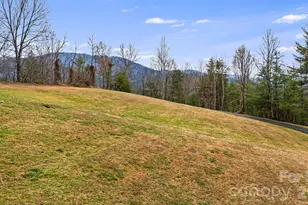 5830 Nc 209 Hwy, Hot Springs, NC 28743 - Photo 2