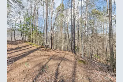0 Harleys Cove #Lot 20, Waynesville, NC 28785 - Photo 8