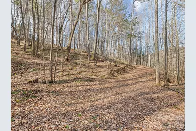 0 Harleys Cove #Lot 20, Waynesville, NC 28785 - Photo 12