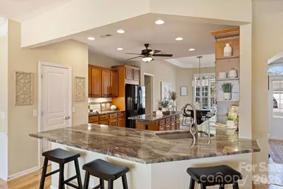 41253 Calla Lily Street, Indian Land, SC 29707 - Photo 14