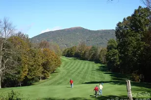 215 Goldenleaf Rd, Mars Hill, NC 28754 - Photo 46