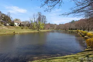 111 Avery's Creek Ln, Arden, NC 28704 - Photo 30