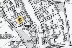 2917 Audubon Ridge, Belmont, NC 28012 - Photo 12