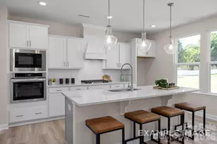 2917 Audubon Ridge, Belmont, NC 28012 - Photo 4