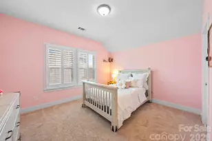 9309 Hightower Oak St, Huntersville, NC 28078 - Photo 30