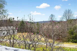 3275 Hanging Rock Rd, Spruce Pine, NC 28777 - Photo 42