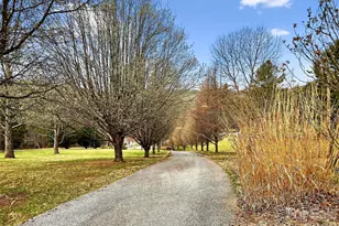 3275 Hanging Rock Rd, Spruce Pine, NC 28777 - Photo 44