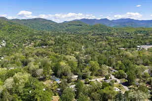 8 Fernlawn Rd, Asheville, NC 28805 - Photo 38