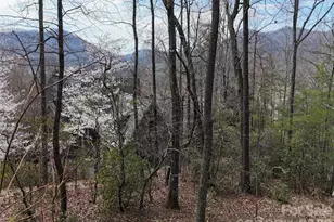 709 Craggyside Ln, Arden, NC 28704 - Photo 1