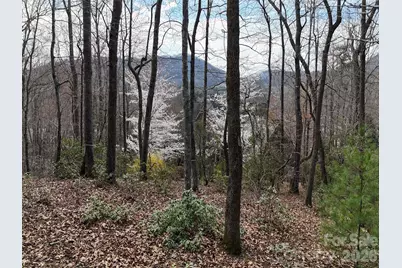 709 Craggyside Lane #24, Arden, NC 28704 - Photo 2