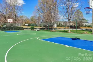 209 Township Dr, Fort Mill, SC 29715 - Photo 24