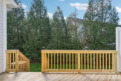 209 Township Drive, Fort Mill, SC 29715 - Photo 20