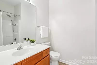 209 Township Drive, Fort Mill, SC 29715 - Photo 14