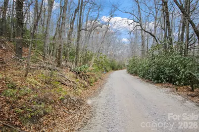 Lot 12 Patton Thicket Road, Burnsville, NC 28714 - Photo 2