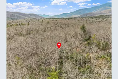 Lot 12 Patton Thicket Road, Burnsville, NC 28714 - Photo 10