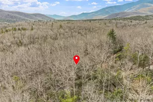 Lot 12 Patton Thicket Rd, Burnsville, NC 28714 - Photo 10