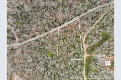 Lot 12 Patton Thicket Road, Burnsville, NC 28714 - Photo 6