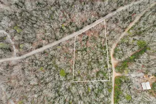Lot 12 Patton Thicket Rd, Burnsville, NC 28714 - Photo 6