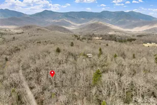 Lot 12 Patton Thicket Rd, Burnsville, NC 28714 - Photo 12