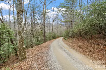 Lot 12 Patton Thicket Road, Burnsville, NC 28714 - Photo 1