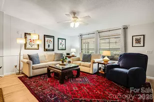 217 Sandy Creek Ct, Hendersonville, NC 28792 - Photo 6