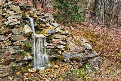 120 Mountain Mist Lane, Waynesville, NC 28785 - Photo 8