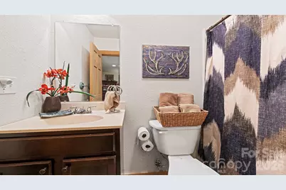 616 Appaloosa Trail, Waynesville, NC 28785 - Photo 38