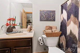 616 Appaloosa Trail, Waynesville, NC 28785 - Photo 38