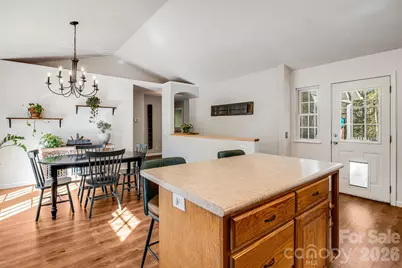 348 Big Raven Lane, Saluda, NC 28773 - Photo 12