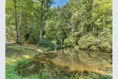 348 Big Raven Lane, Saluda, NC 28773 - Photo 38