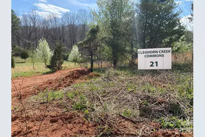 0 Coxe Road, Rutherfordton, NC 28139 - Photo 20