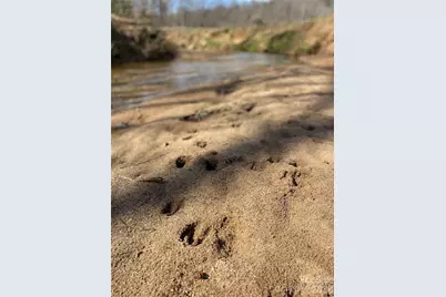 0 Coxe Road, Rutherfordton, NC 28139 - Photo 18