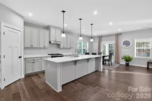 911 Dogwood Crk Ln, Indian Trail, NC 28079 - Photo 8