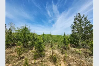 6327 Witherspoon Trail, Lancaster, SC 29720 - Photo 26