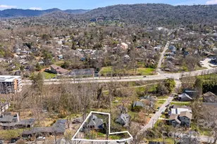 251 Flint St, Asheville, NC 28801 - Photo 44