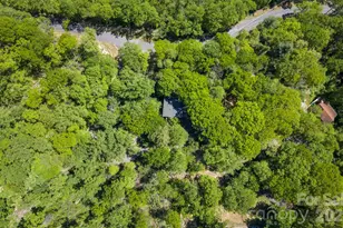 14 Weeping Cherry Forest Rd, Fairview, NC 28730 - Photo 30