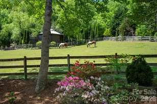 14 Weeping Cherry Forest Rd, Fairview, NC 28730 - Photo 28
