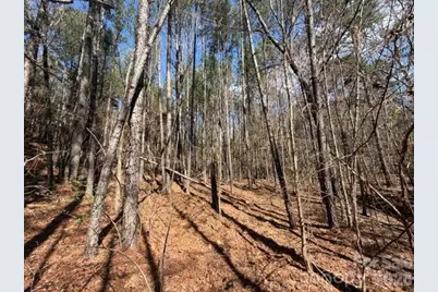 12.68 Acre 99 Road, Blair, SC 29015 - Photo 20