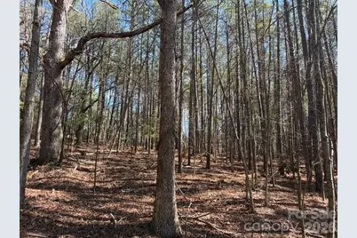 12.68 Acre 99 Road, Blair, SC 29015 - Photo 34