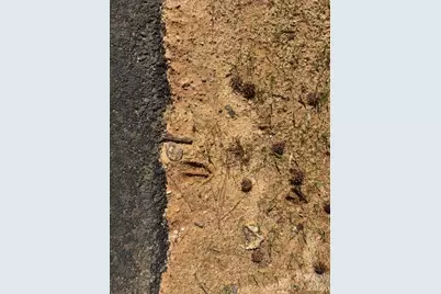 12.68 Acre 99 Road, Blair, SC 29015 - Photo 36