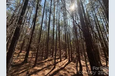 12.68 Acre 99 Road, Blair, SC 29015 - Photo 30