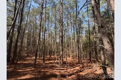 12.68 Acre 99 Road, Blair, SC 29015 - Photo 6